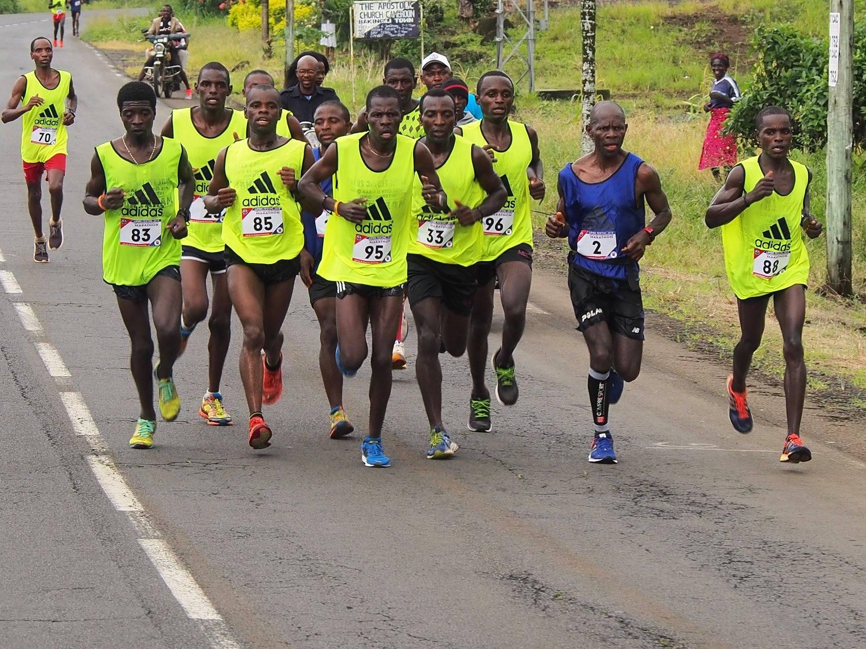 LionStride Elite Roster Athlete